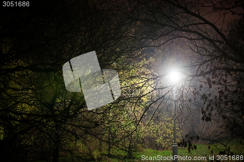 Image of Creepy park at night with illumination