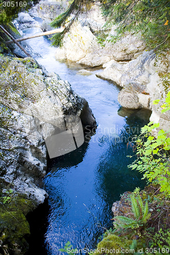 Image of tofino river