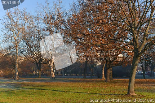 Image of Autumnal Park