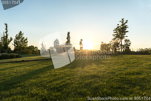 Image of Sunset in the countryside