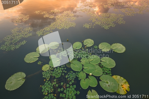 Image of Peaceful place at the pond