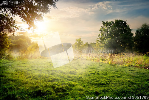 Image of Clearing in the forest