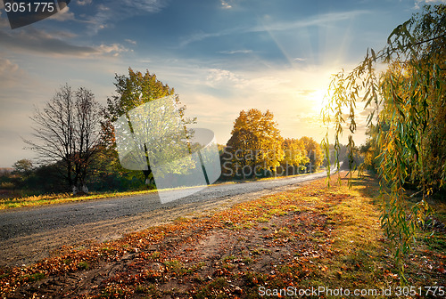 Image of Road and autumn