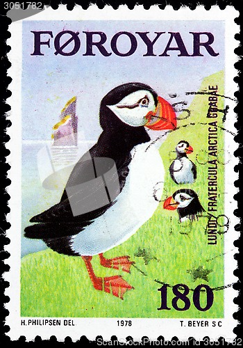 Image of Atlantic Puffin