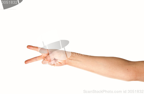 Image of Arm and hand