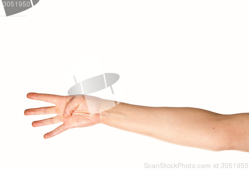 Image of Arm and hand