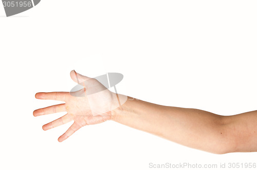 Image of Arm and hand