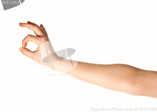 Image of Arm and hand