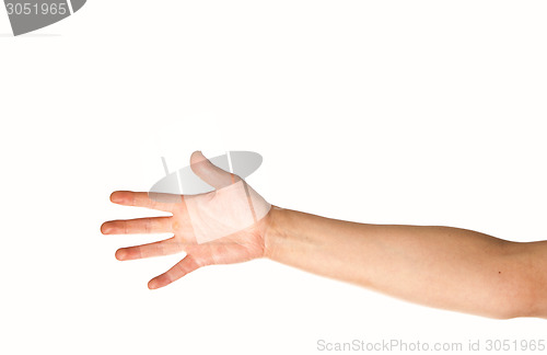 Image of Arm and hand