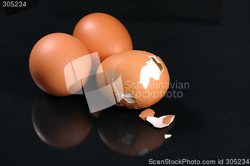 Image of fresh egg