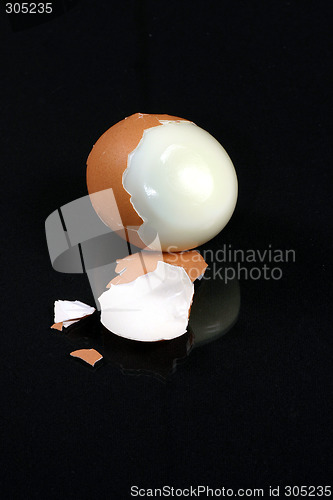 Image of fresh egg