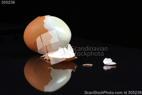 Image of fresh egg