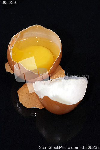 Image of fresh egg