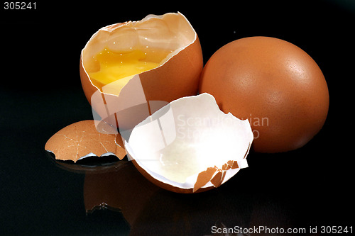 Image of fresh egg