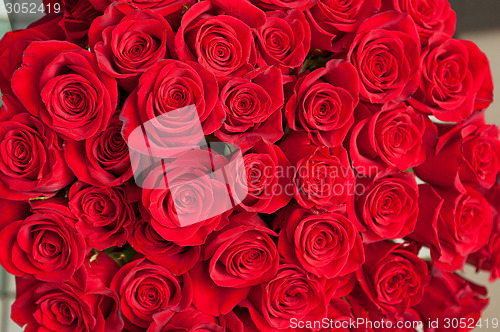 Image of red roses