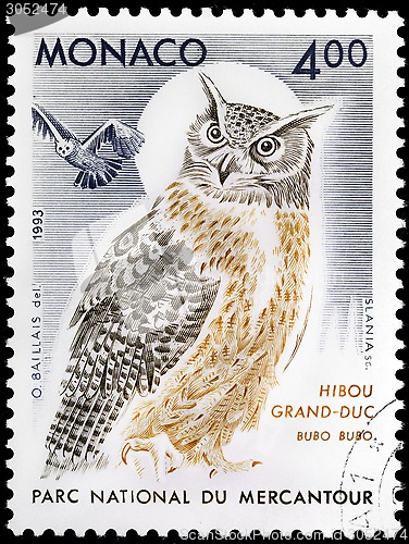 Image of Indian Great Horned Owl