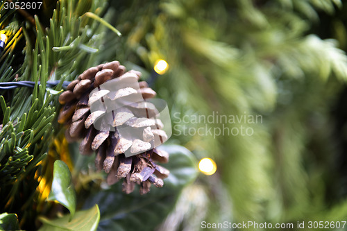 Image of Decoration pine cone Christmas Market