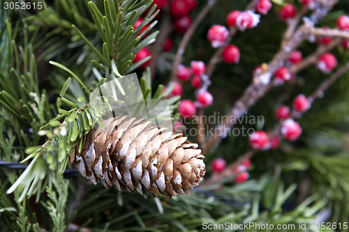 Image of Decoration pine cone Christmas Market