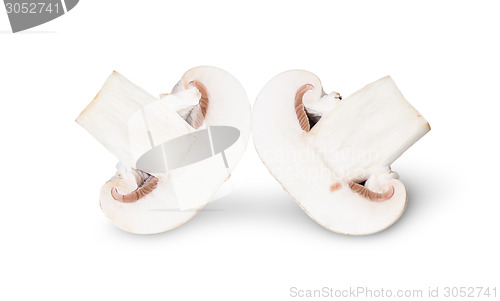 Image of The Two Halves Of Mushroom