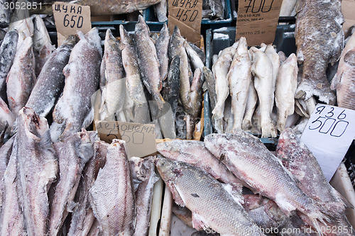 Image of raw fish