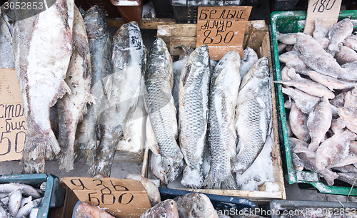 Image of raw fish