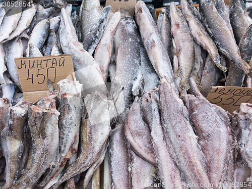 Image of frozen fish