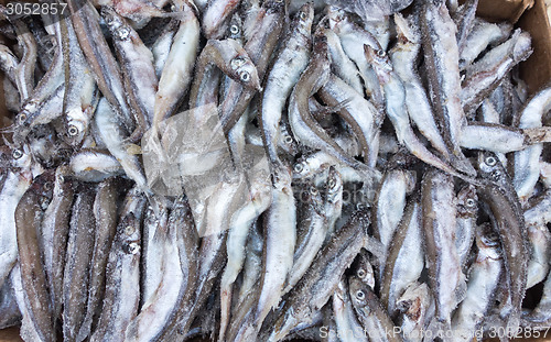 Image of carcass fish