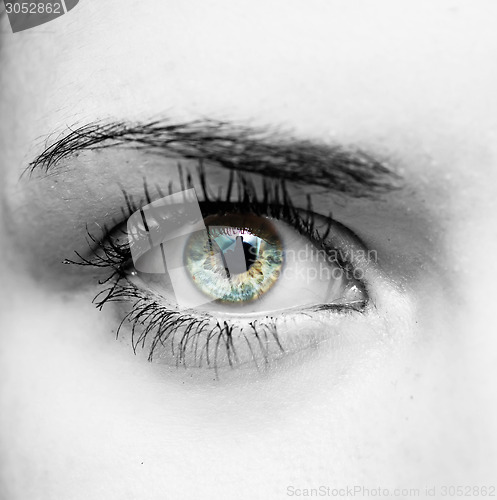 Image of woman eye