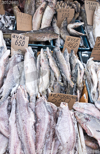 Image of raw fish