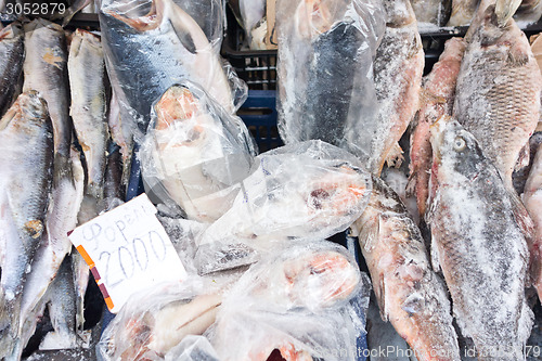 Image of frozen fish