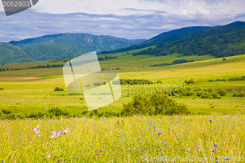 Image of field and blue sky