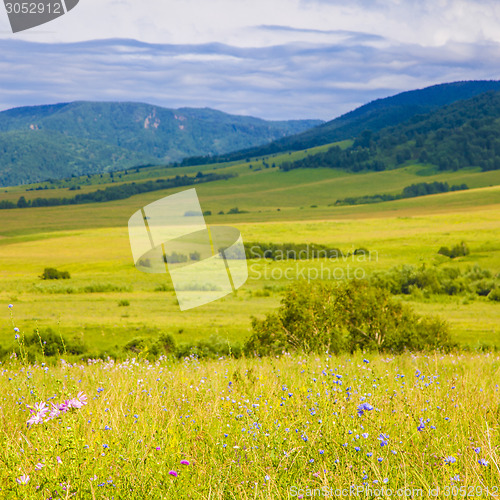 Image of field and blue sky