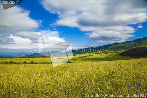 Image of field and blue sky
