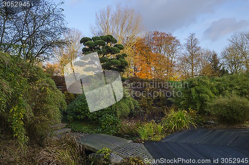 Image of Japanese Garden in Autumn