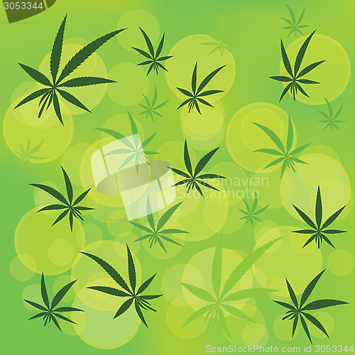 Image of cannabis 