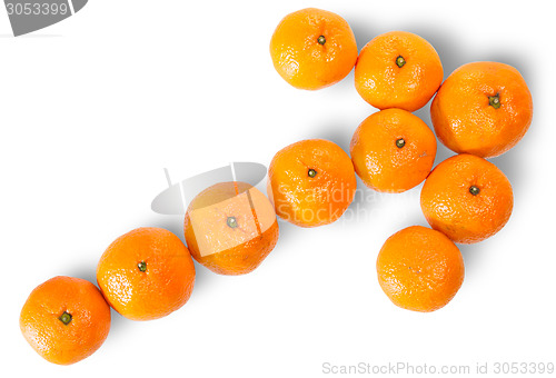 Image of Ripe Juicy Orange Tangerine Lined As A Arrow