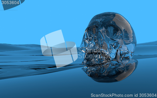 Image of water skull