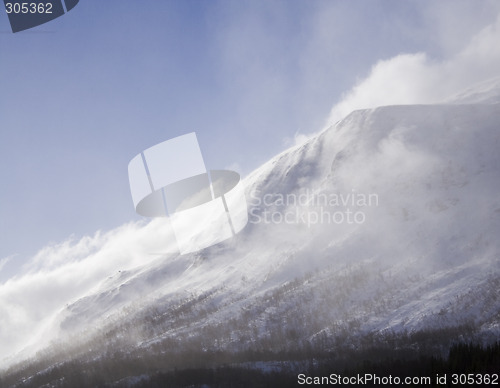 Image of winter,sunny day, snow and wind