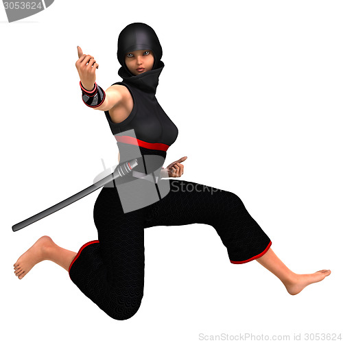 Image of Ninja