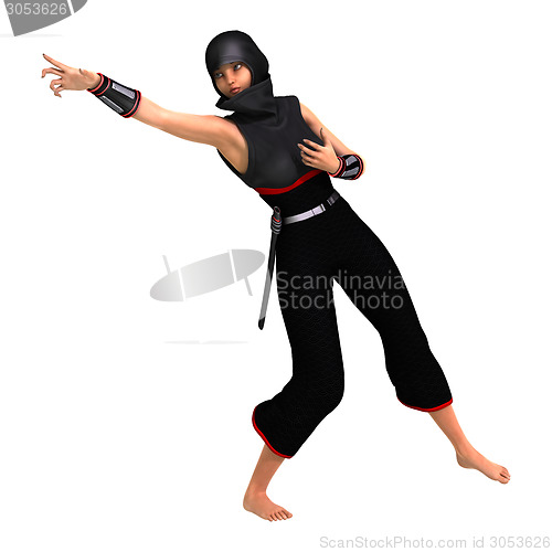 Image of Ninja