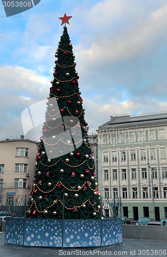 Image of Christmas tree