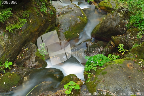 Image of creek