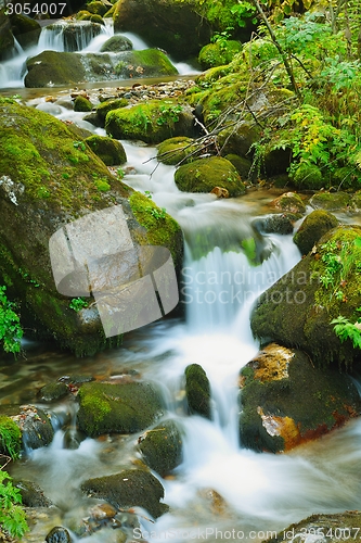 Image of creek