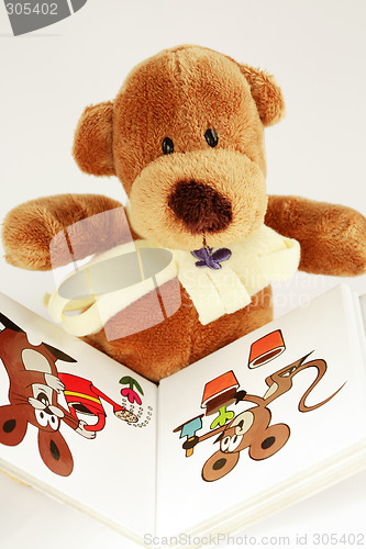 Image of Teddy bear reading
