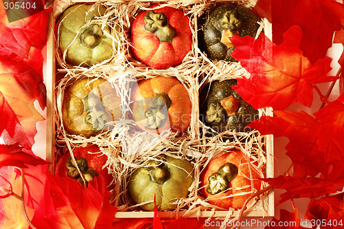 Image of Pumpkins in box