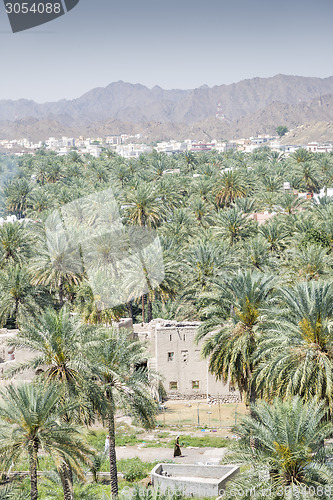 Image of View from fort Nizwa