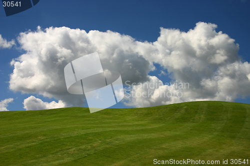 Image of Green Grass