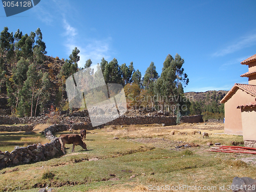 Image of Lake Titicaca
