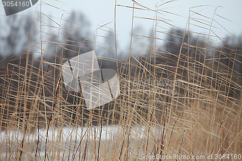 Image of cold wind