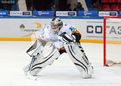 Image of Goalkeeper Shtepanek Y. (33)